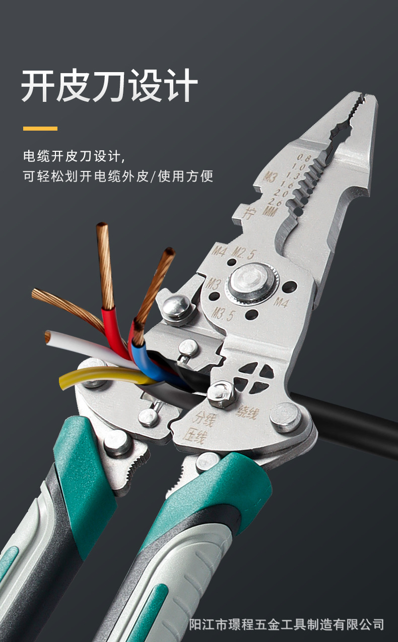 Details Chinese_06.jpg