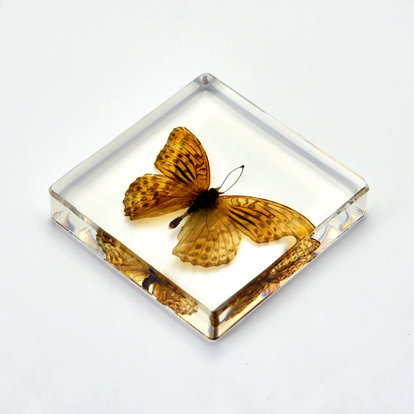 7.5 square bookweight (15mm thickness thin version) Feibao Butterfly