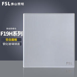 Foshan Lighting (Fsl) Socket Panel Type 86 Wall Concealed F19H Gray Blank Panel Gray