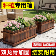 ����ľ�������ͥԺ�Nֲ���L����ľ�������⻨���̖�̨�N����