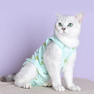 Pet sterilization clothing cat surgical clothing female cat weaning clothing breathable anti-licking four seasons available pet supplies clothing