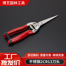 厂家直供园林修枝剪葡萄剪稀果剪绿化园林工具不锈钢树枝剪刀手动