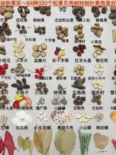 �����������������������ɹ���֦���~ؐ���׃��@�h���ֹ��˱�