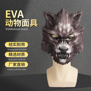 �羳���Q���uEVA��������f�}���Ɍ��������ְ�Ę������