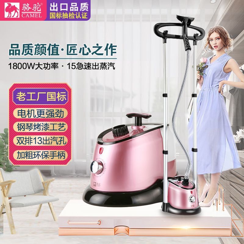 Household Double-Pole Steam Vertical Garment Ironing Machine Steam Iron Ironing Machine Hanging Ironing Machine High Power Free Shipping Direct Sales