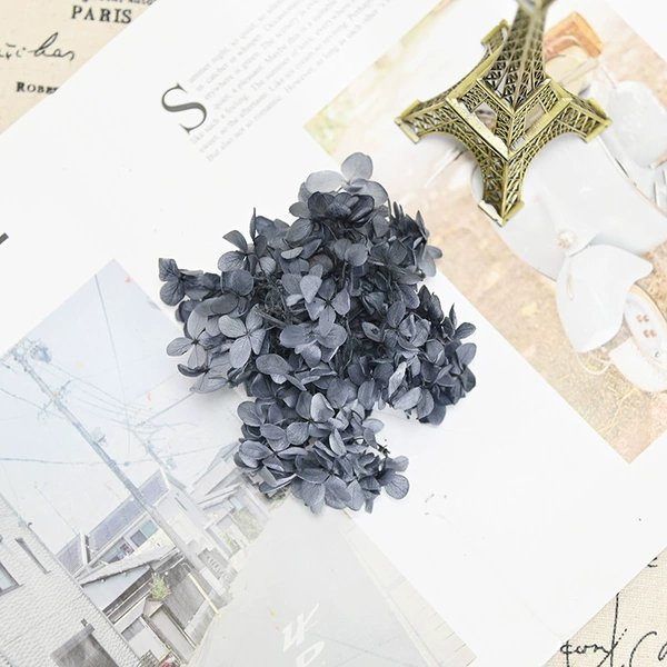 B -level wood hydrangea deep gray