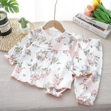 小女孩款春季套装公主款纯棉a类宝宝两件套2025新款可爱风