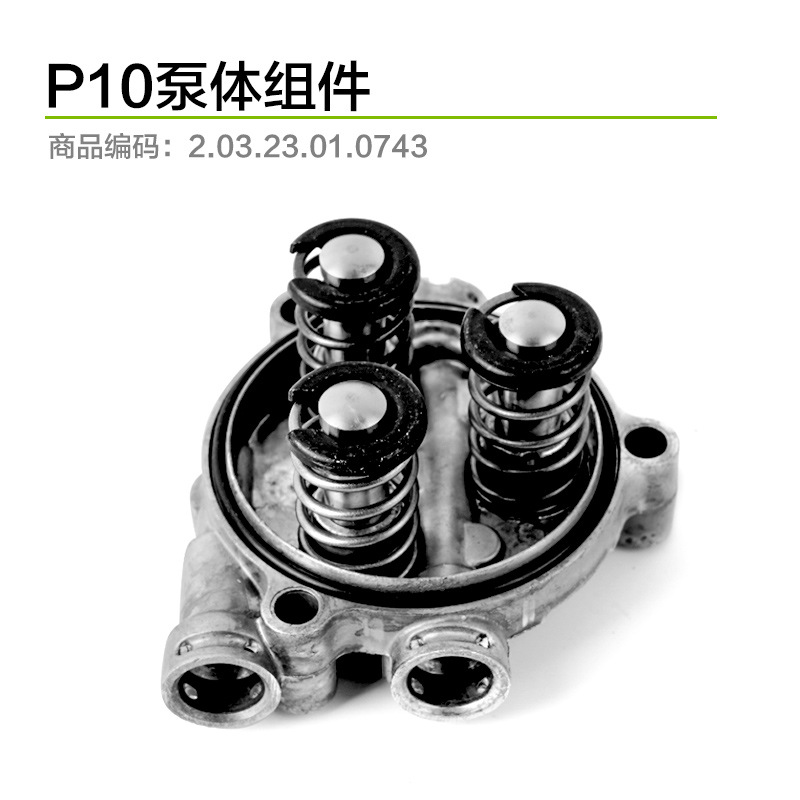 P10 펌프 본체 어셈블리 B