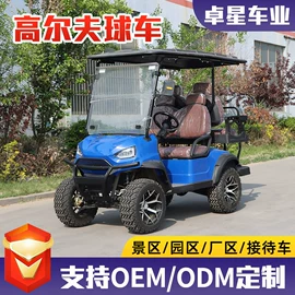 电动观光车;高尔夫球车