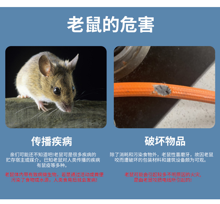 新蟑螂粘详情_09