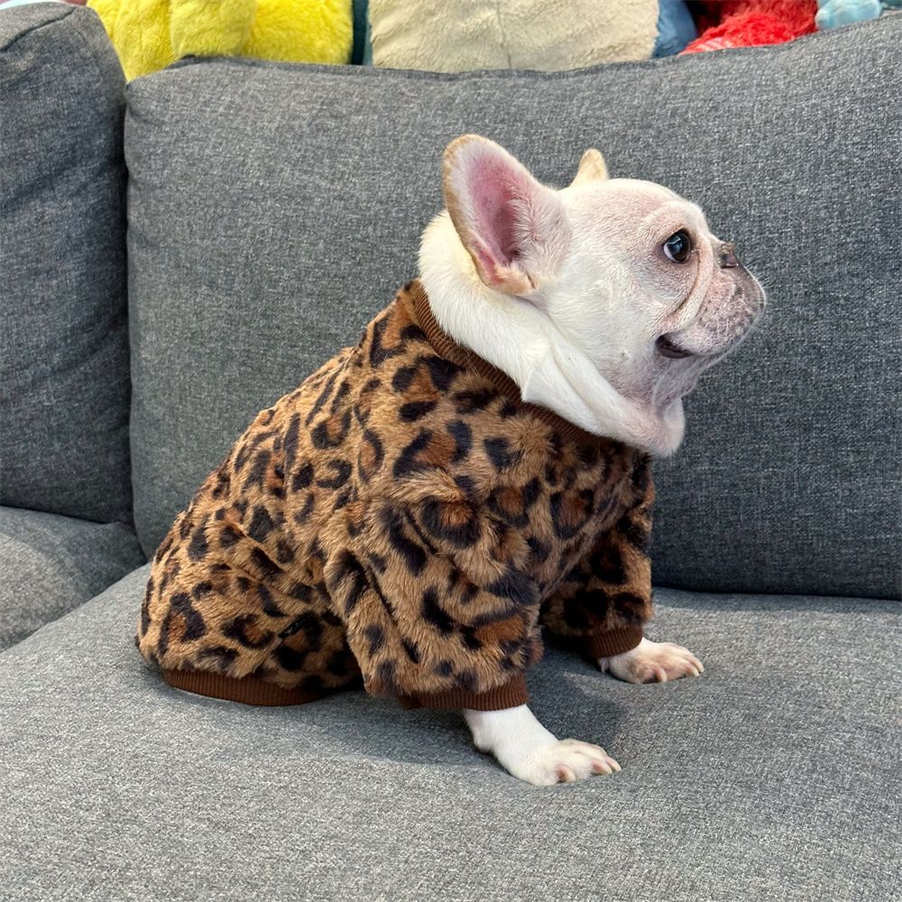 애완견 기모 운동복 Fa Dou Ying Dou Ba Bug 뚱뚱한 개 Corgi Chai Dog 가을과 겨울 안티 헤어 드롭 두 다리 옷