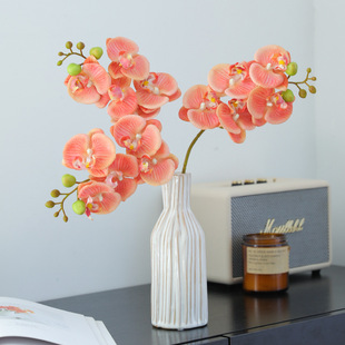 5�^�ָб�������m�������и߼���ins�L�Ƶ�ҾӔ[�������b�