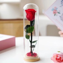 永生花玫瑰花小王子玻璃罩摆件真玫瑰圣诞节情人节母亲节生日礼物