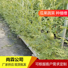 大棚西瓜种植槽定制 草莓立体种植槽架 辣椒番茄无土栽培种植槽