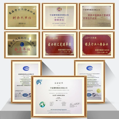 Manufacturer Processes Customized Garbage Disposer Avtomobil hissələri qəlibləri