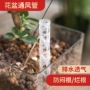 园林加长通气施肥绿植