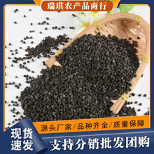 蚕砂中药材散装晚蚕沙蚕屎婴儿成人枕头有竹茹陈皮中草药店铺批发