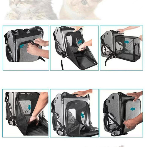 Cross-border new foldable cat bag portable expandable all-season pet bag travel cat dog dual shoulder pet backpack