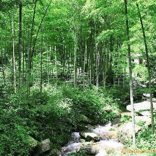 �G��ֲ������ ���� ����  ͥԺ���� ������� ���� �_�h�� ������