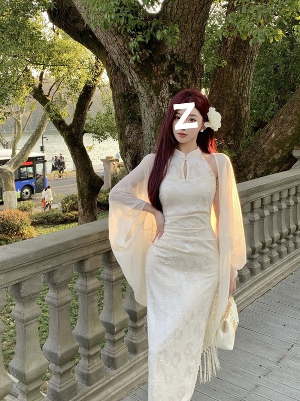 2025新款春秋款新中式连衣裙女春季清冷感复古改良旗袍气质长裙|undefined