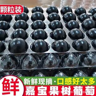 �����Fժ�Ό������rˮ���������r���ЋD��Ҋϡ��ˮ���������bɳ��