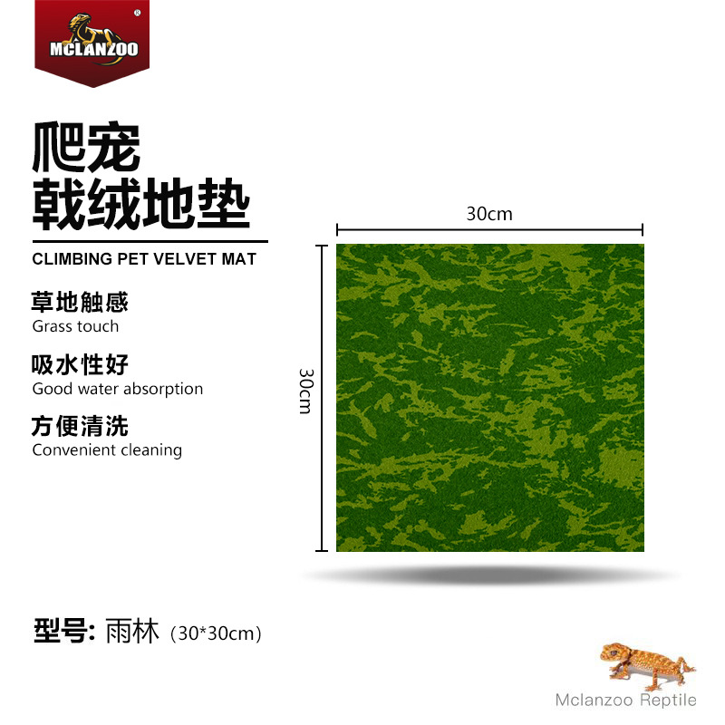 【열대우림】30*30
