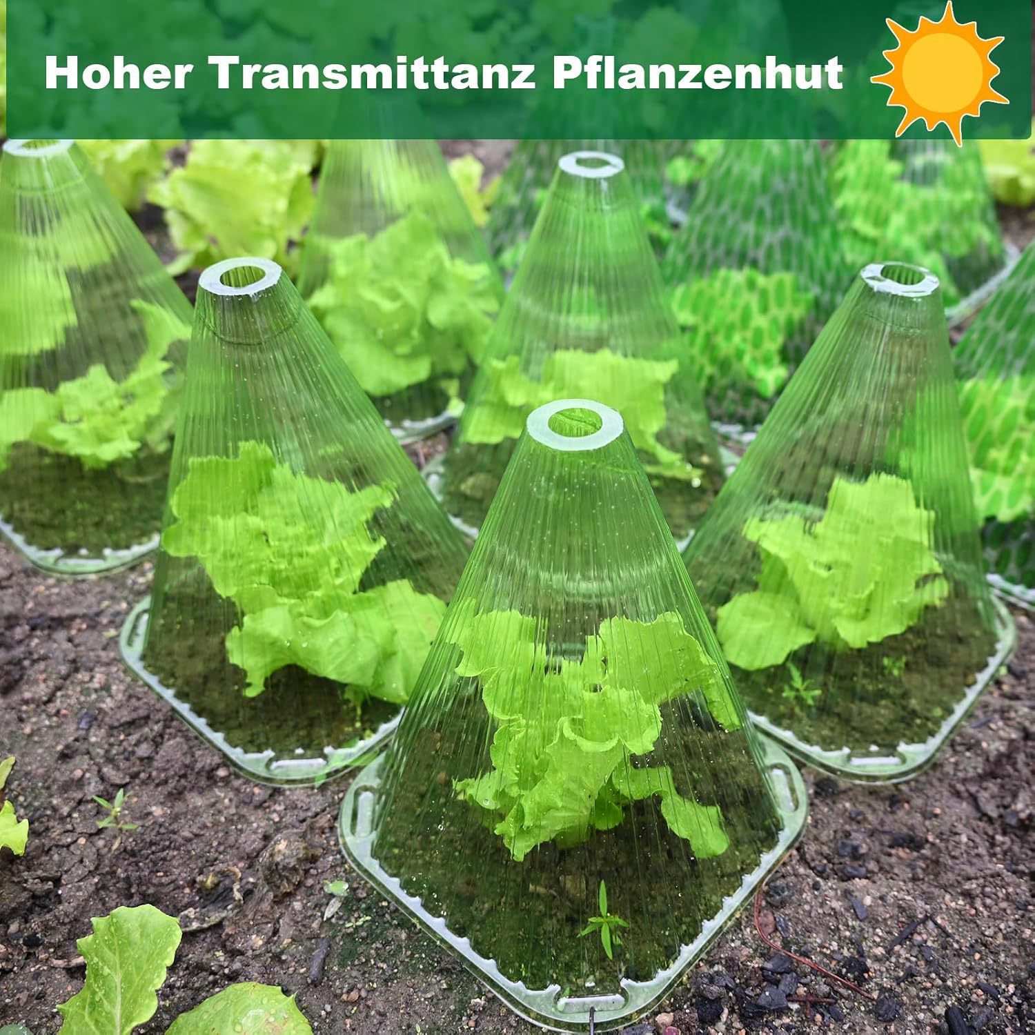 Plant Nursery Cover, Vegetable Seedling Protection Cover, Insulation Cover, Melon Seedling Cold and Wind Protection Cover
