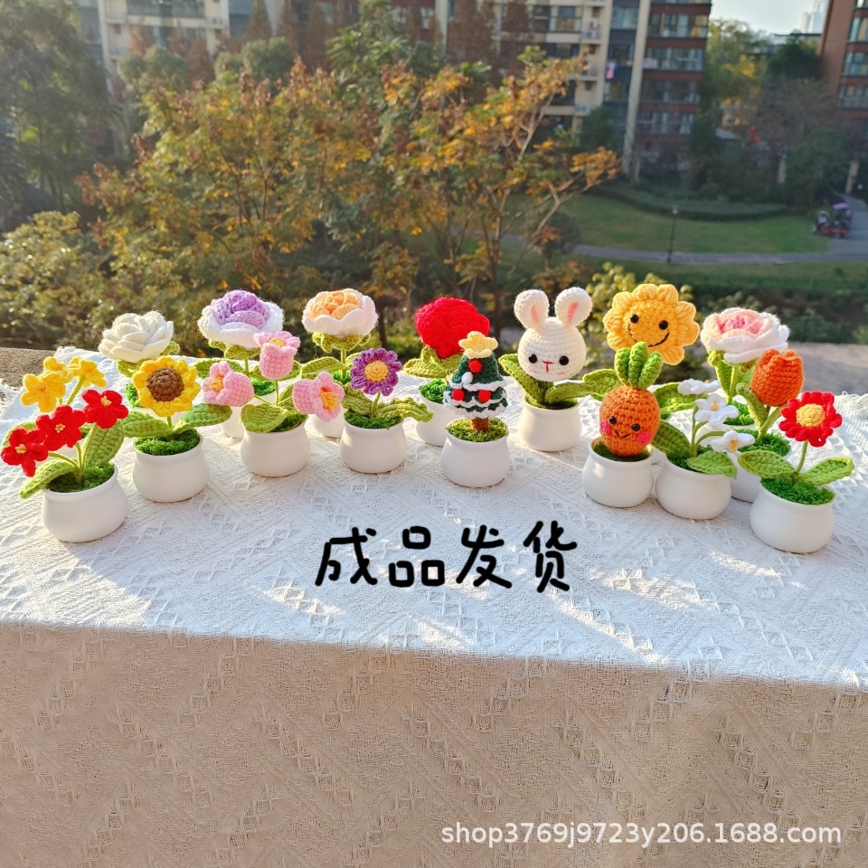 MTXX_MH20231206_164902400