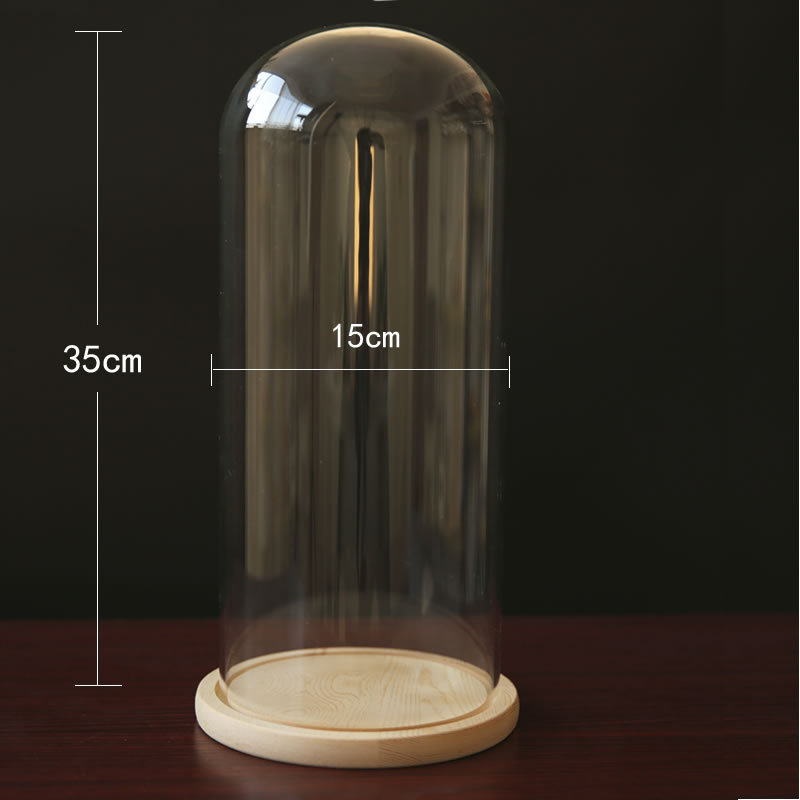 Fábrica eterna flor cubierta de vidrio creativo artesanía decoración transparente florero de cristal soporte varios tamaños