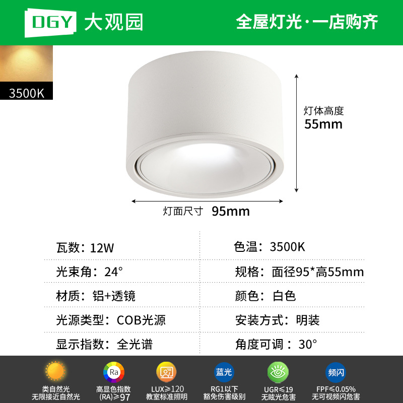 Da Guan Jardín luz de reflector anti-deslumbramiento colina sala de estar sin luz principal luz de techo downlight led corredor luz de techo 495L image 22