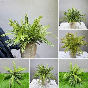 �����������ֲ���Iާ��˹ާ�Ե������T���ز�Gֲܛ�b΢���^�쾰