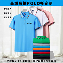 短袖男女同款棉商务polo衫定制印logo冰丝翻领工作服广告衫工衣服