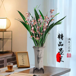 ��Ʒī�m�����ؼ����F�m����ڎ������҃ȿ͏d�̨���㻨�ܾGֲ��