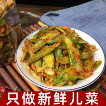 四川麻辣儿菜片多头菜新鲜儿子青菜干咸菜嫩娃娃川渝特产下饭菜