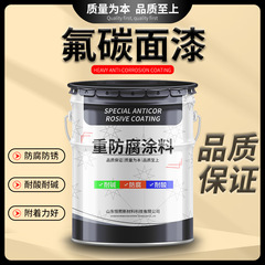 氟碳面漆 钢结构金属氟碳漆耐候时间长 户外工程桥梁船舶氟碳面漆