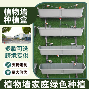 ��ֱ�G��ֲ��Nֲ�л���������w�G���ڒ�ʽֲ��Nֲ��