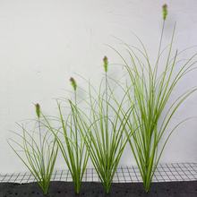 ���湷β��ëë�x�JȔ�ݼҾ����[�݆�֧�Ƶ�ܛ�b�b��b��Gֲ