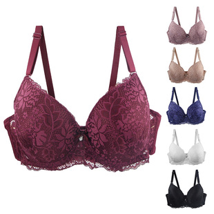 Cross-border underwear French full lace sexy fashion underwear plus size bra bra Amazon popular one-piece delivery