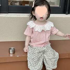 女童夏季两件套花边领网眼透气短袖上衣女宝夏天防蚊裤夏装衣服棉