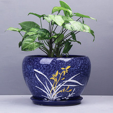 好看家用養花盆三角梅花盆陶瓷盆中國風古典創意鴻運當頭花盆