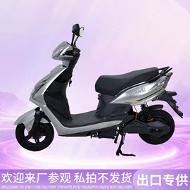 其他电动车;其他摩托车