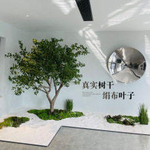 �������m����ͷ�����҃��b���ؾGֲ�����쾰���Wins�L�٘�