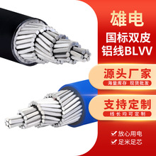 BLVV���H�pƤ�Xо늾� ����ܿ����ιɽ^������ ��о�X��|��