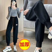 加绒加厚束脚休闲裤女2023春秋冬季新款宽松长毛裤时尚百搭哈伦裤