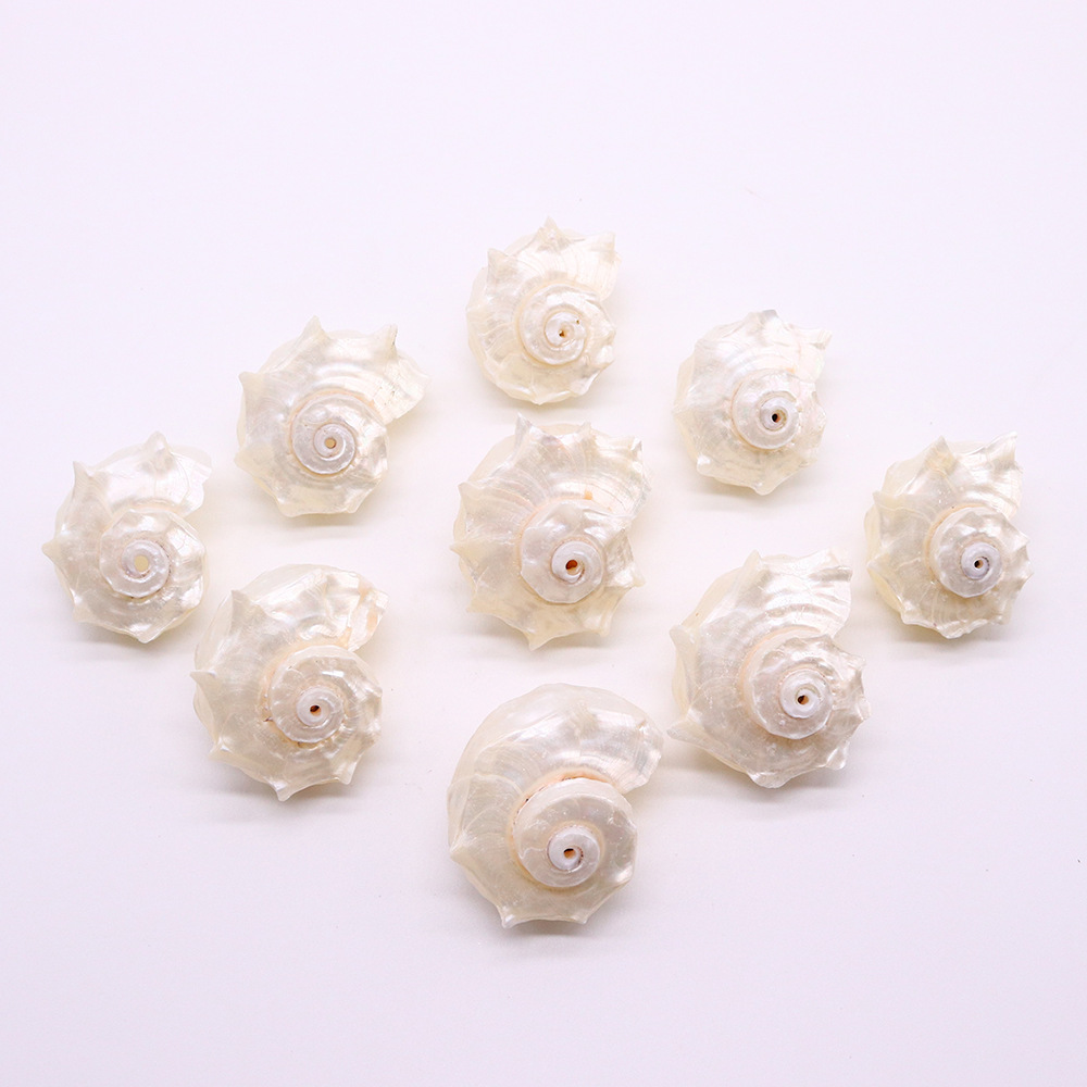 25-40mm Jewelry Making Size 1 Piece 25-40mm Shell Shell Faceted Jewelry Accessories Beads