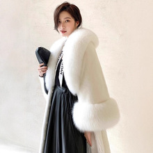 MZqƤŮ2025궬¿ALˮƤ