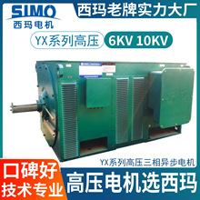 ����YX6kv�߉�늙CYX-4005-4 400kW��Ч�߉�IP23IC01���ஐ��늙C