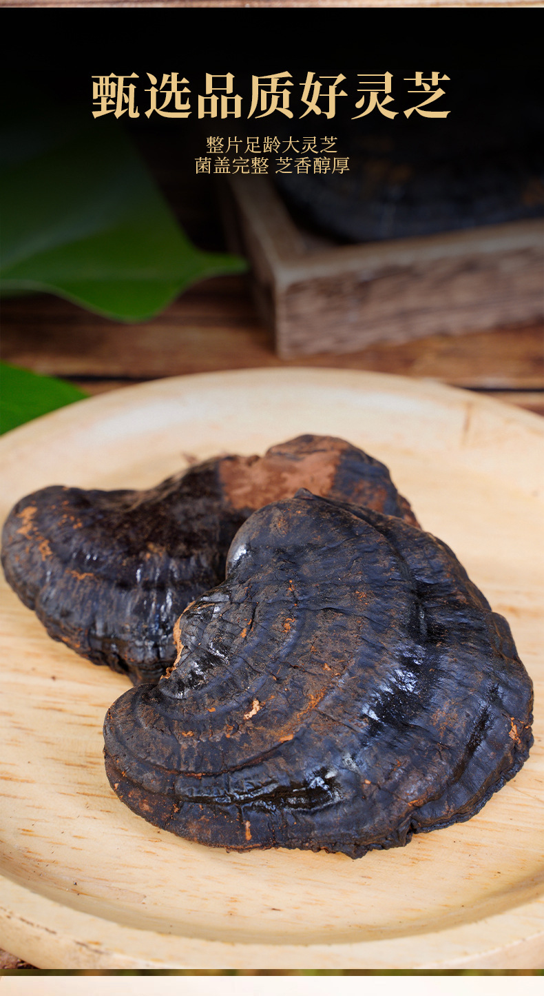 Organic Reishi Mushroom Spore Powder 250g Ling Zhi Bao Zi Fen First Harvest Spore Powder overview