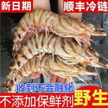 �߹��r���r�Ź��r�����r���r�r���ك��ڻ��r�ش��r�ڻ��r���r