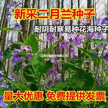 �����m�N���T��N�ӽM���ͺ���ꎴ��ﲥ�G�����^�{�����ѾG�ʷN��